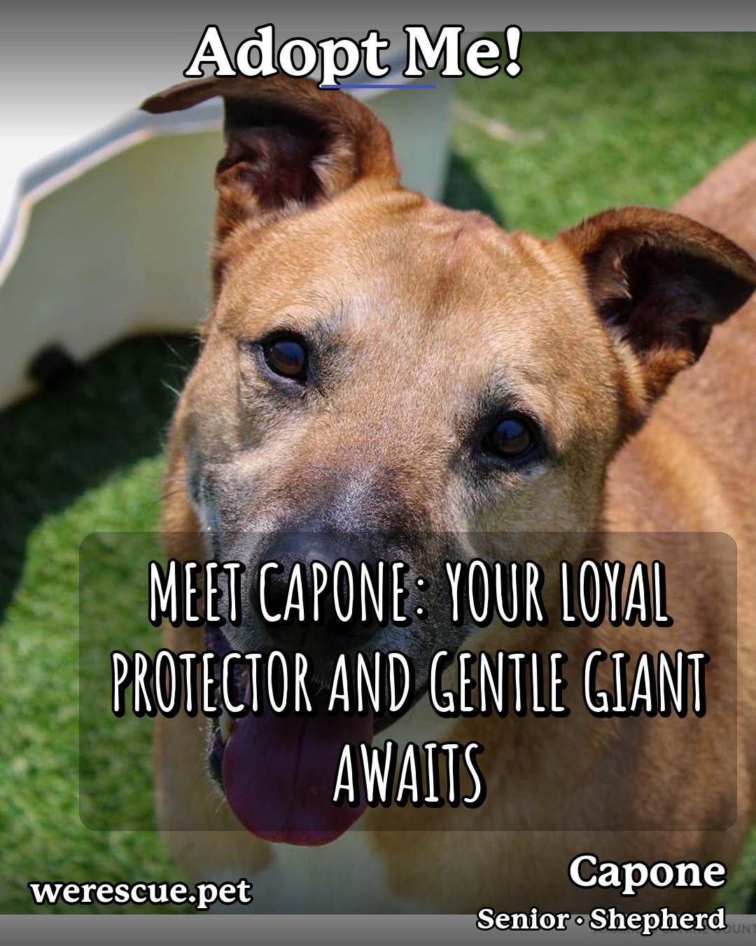 Capone's social media slideshow post