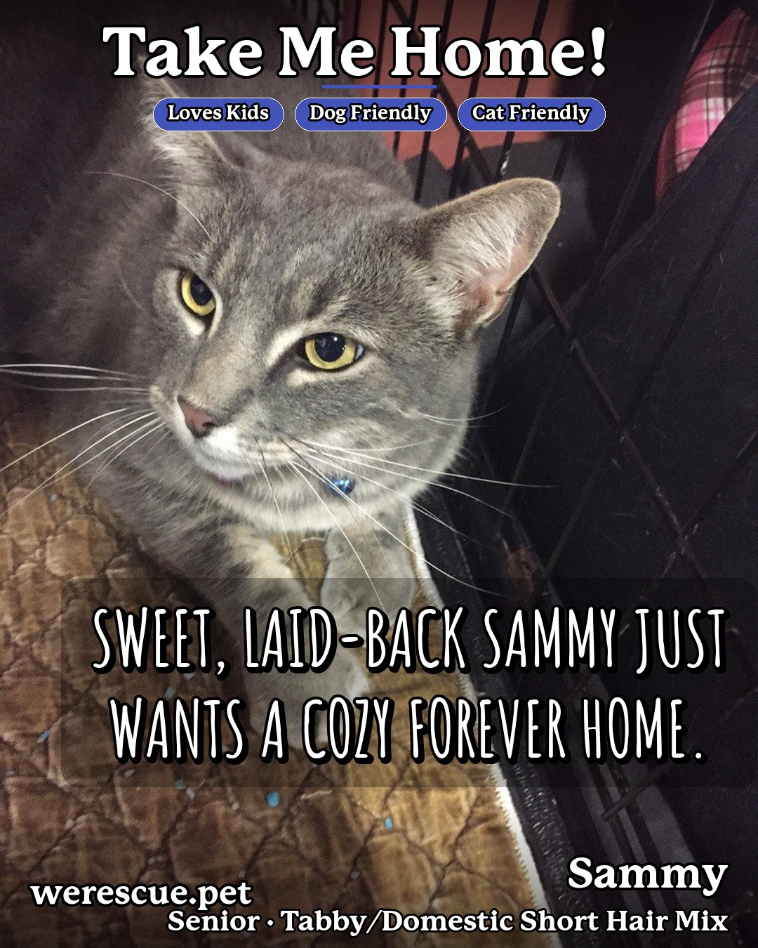 Sammy's social media slideshow post