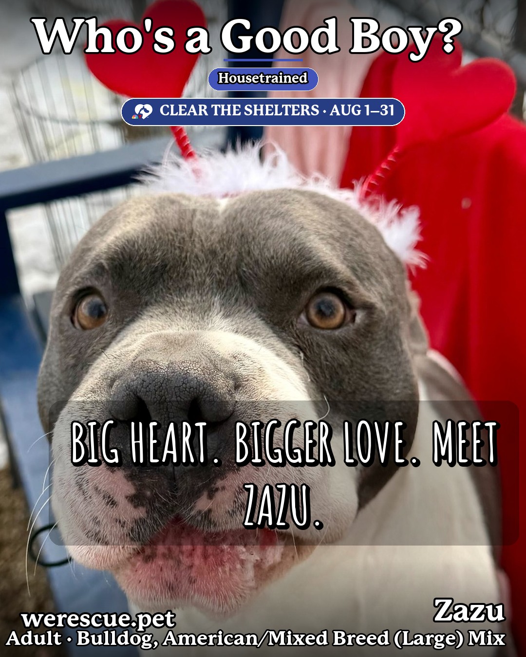 Zazu's social media photos post