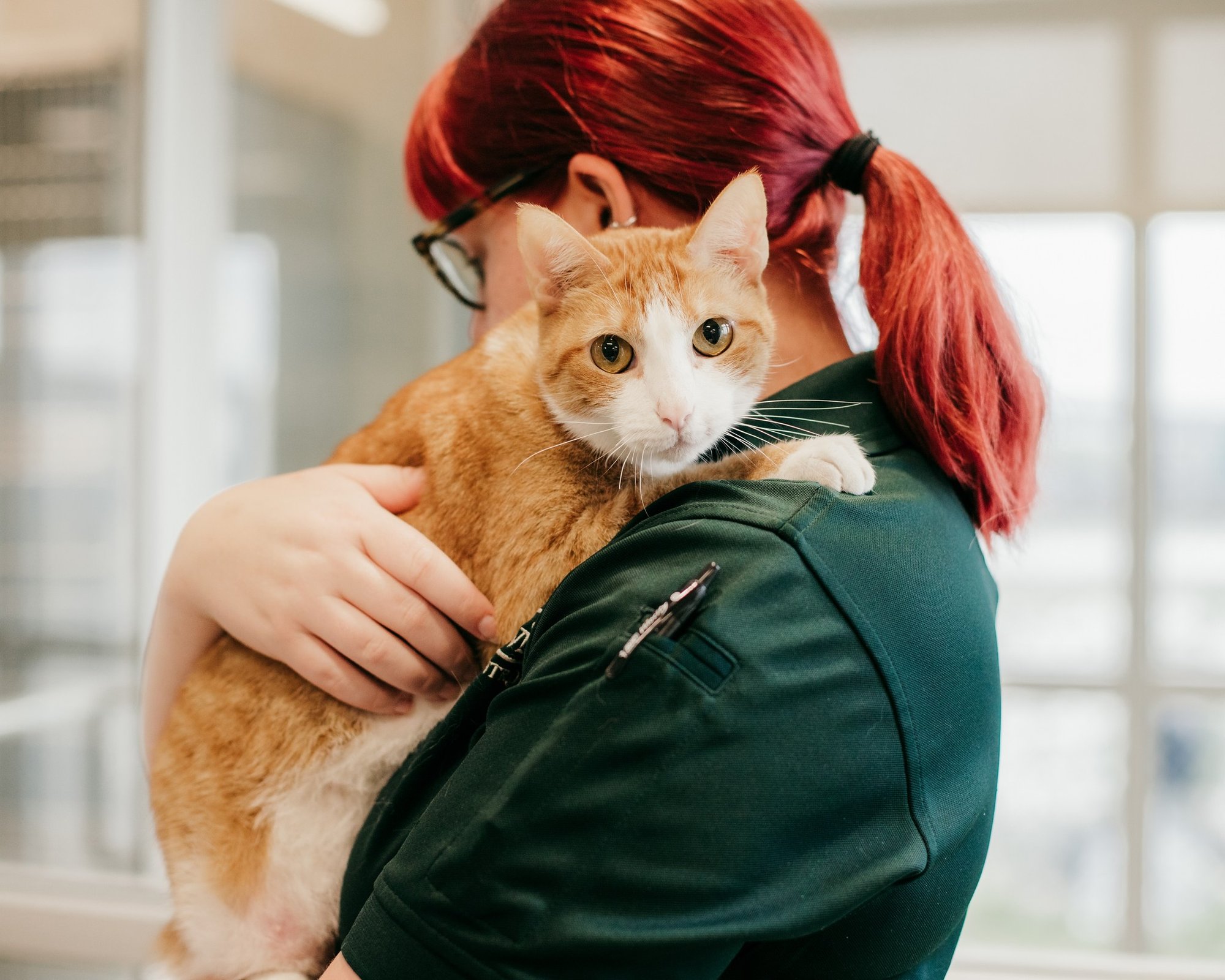 Mont Belvieu Animal Shelter facility