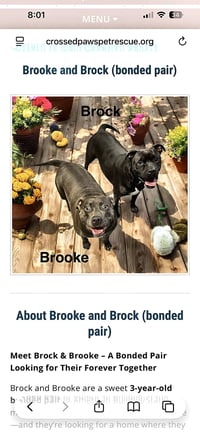 Brook & Brock - Photo 1