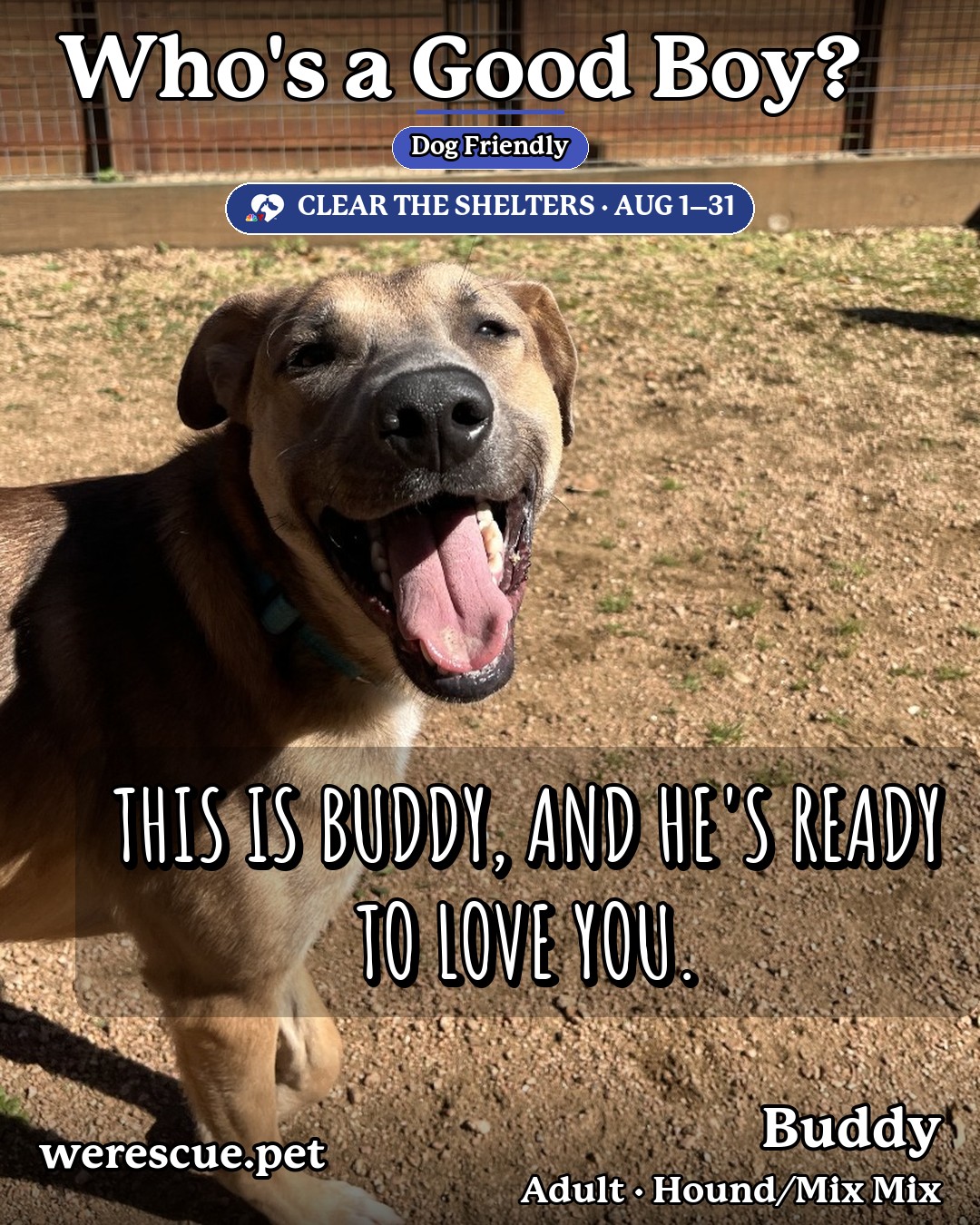 Buddy's social media photos post