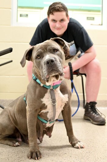 Humane Society for Hamilton County facility