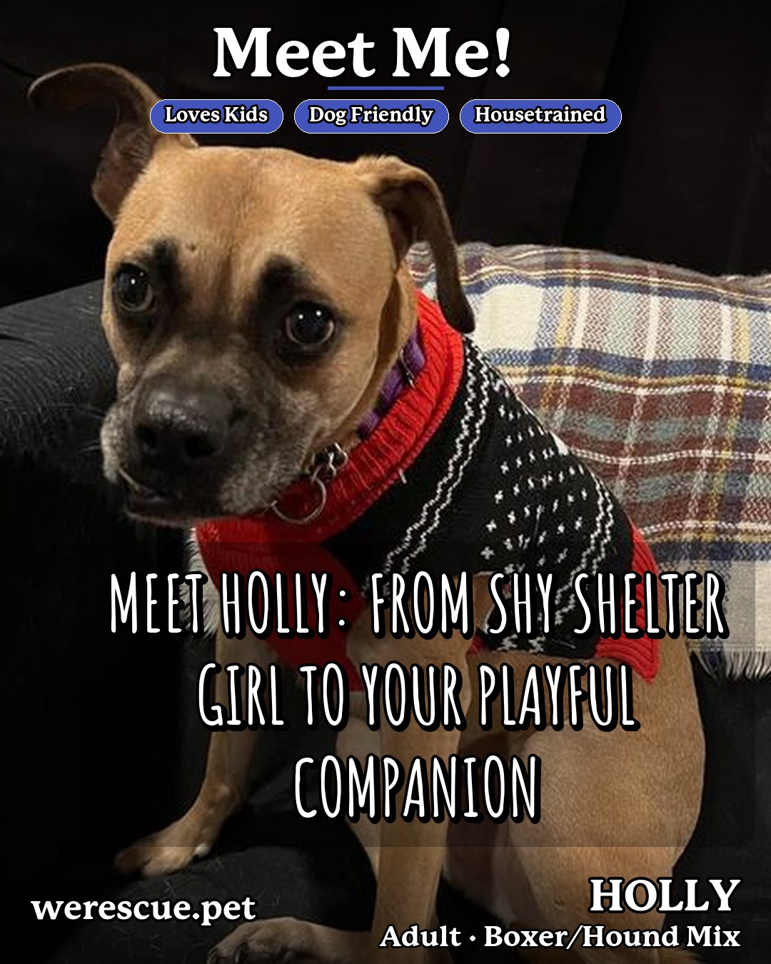 HOLLY's social media slideshow post
