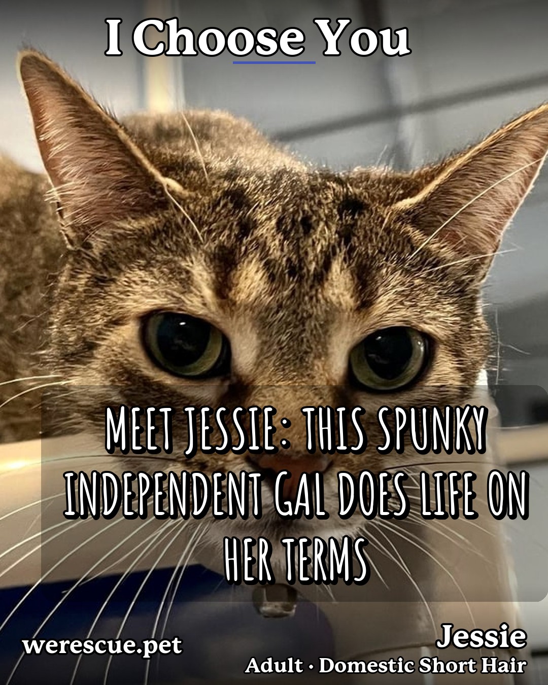 Jessie's social media photos post