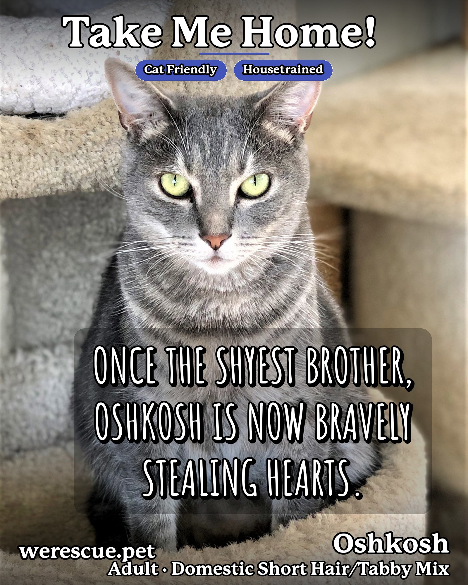 Oshkosh's social media slideshow post