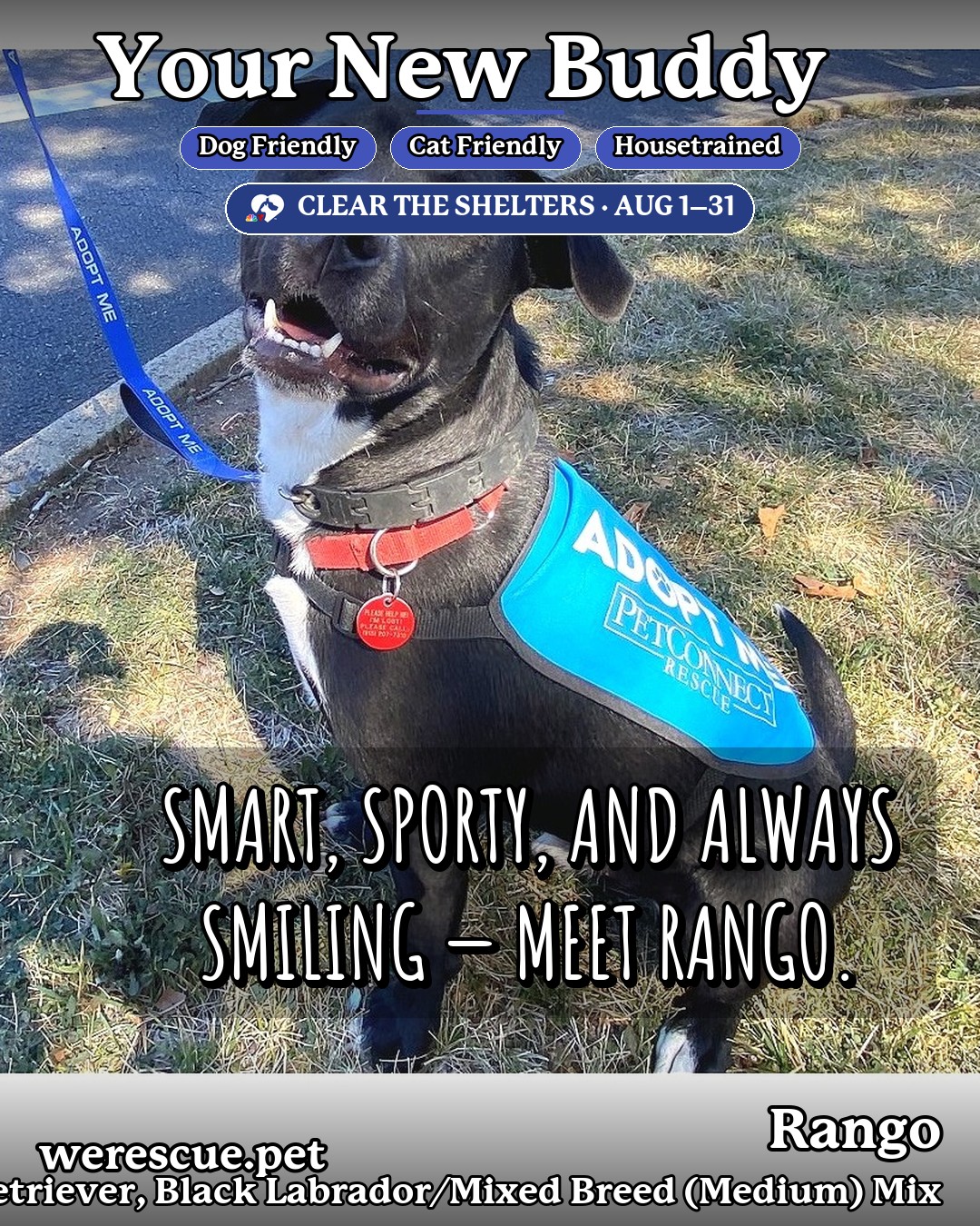Rango's social media photos post