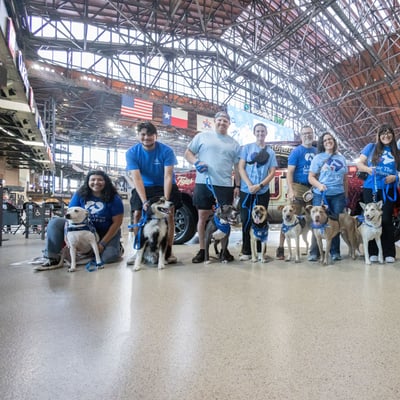 Clear The Shelters 2026: 135,000+ Adoptions and the Technology Behind Them