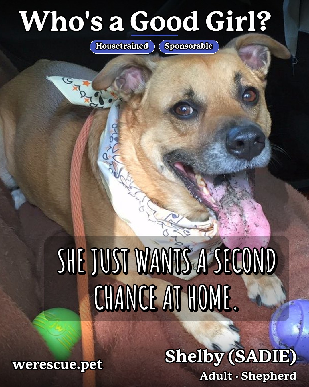 Shelby (SADIE)'s social media photos post