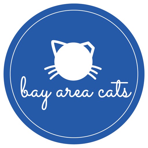 Bay Area Cats