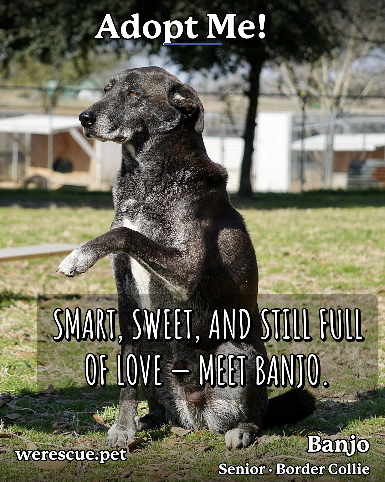 Banjo's social media slideshow post
