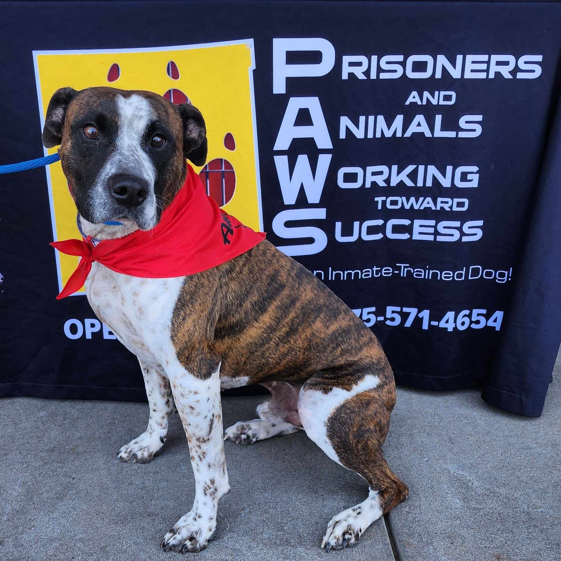 ACTion Programs for Animals facility