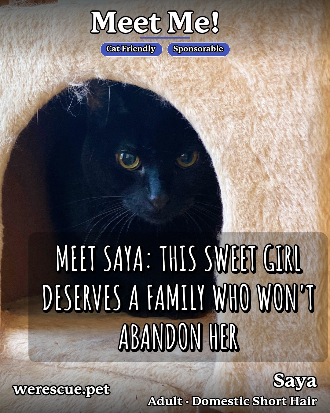 Saya's social media slideshow post