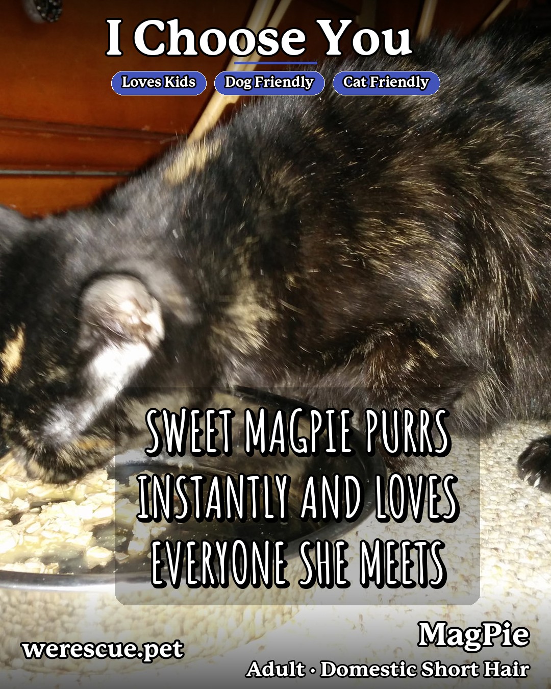 MagPie's social media slideshow post