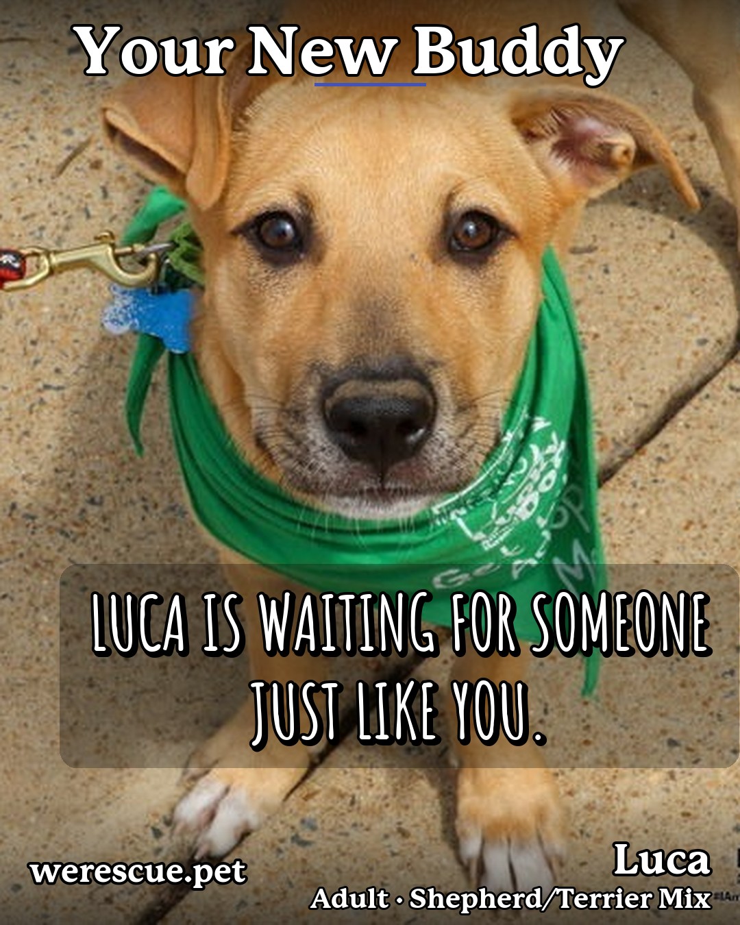 Luca's social media photos post