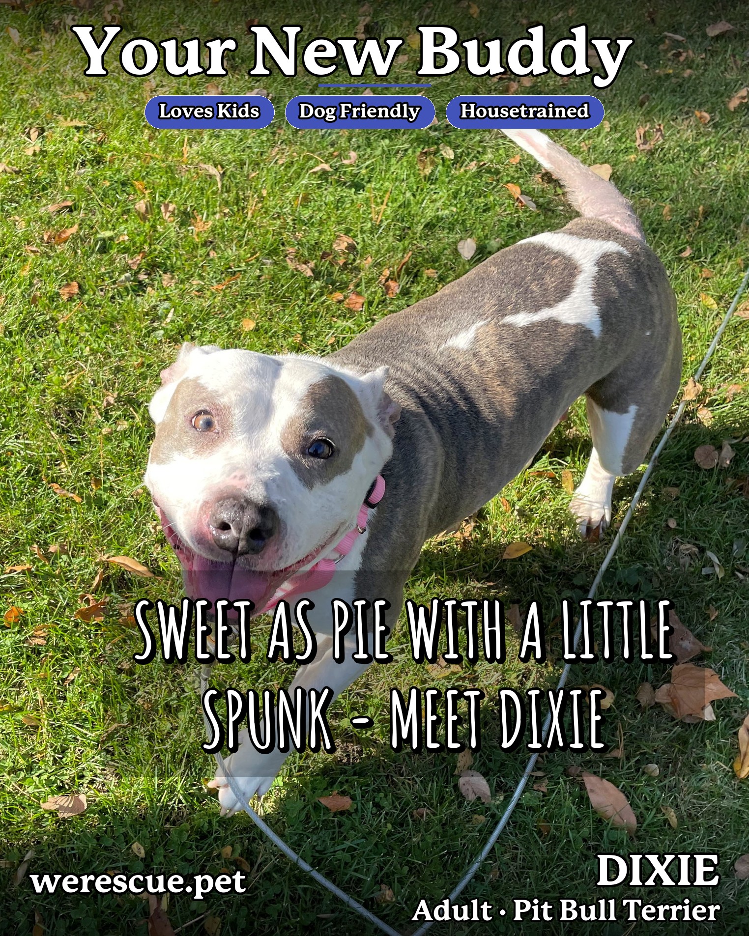 DIXIE's social media photos post