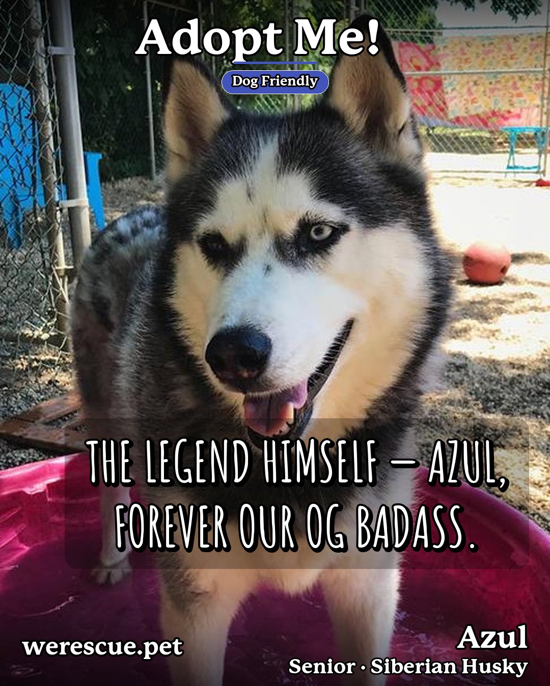 Azul's social media photos post
