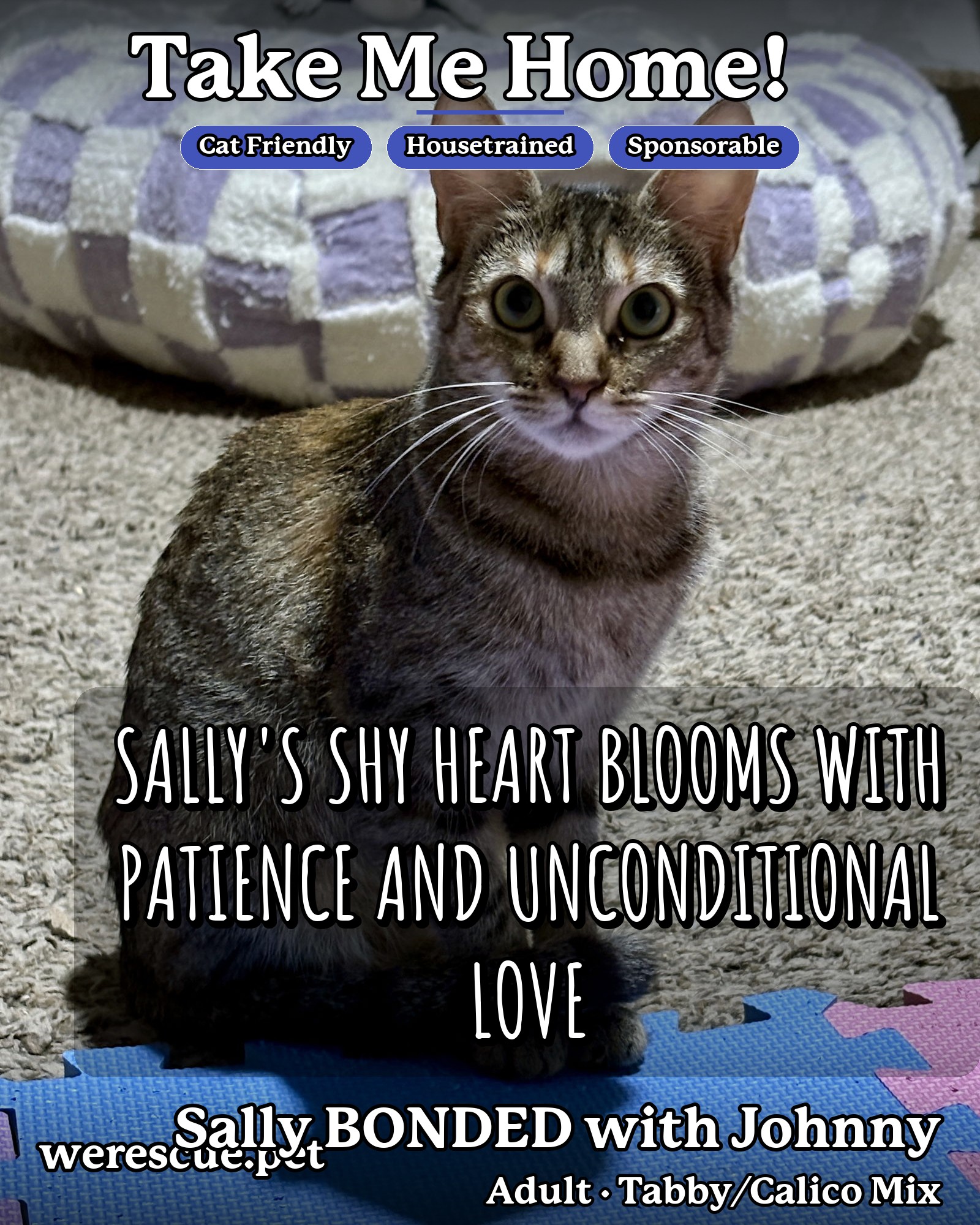 Sally's social media photos post