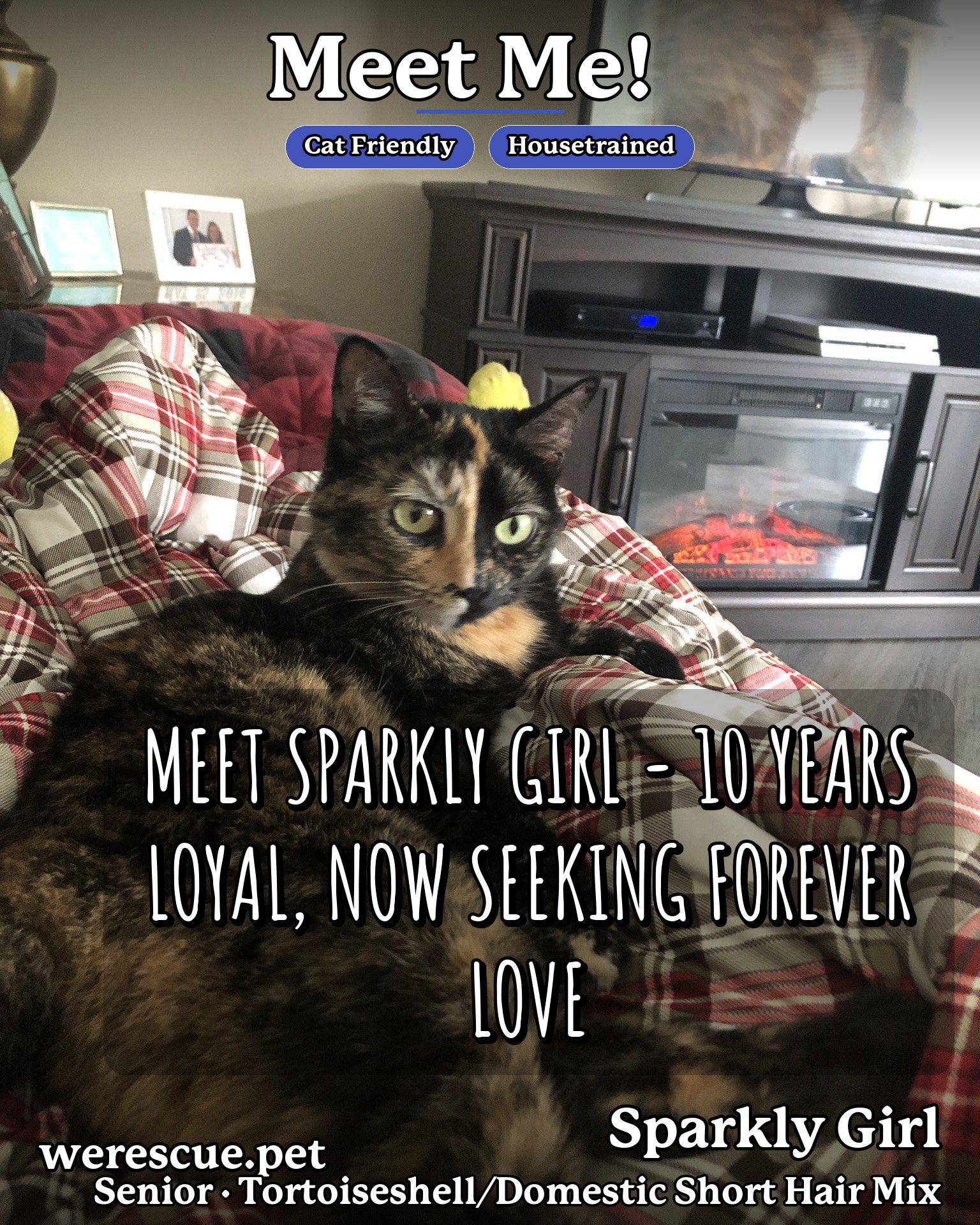 Sparkly Girl's social media slideshow post