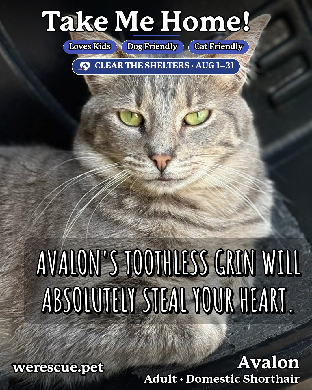 Avalon's social media photos post