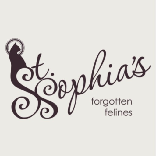 St. Sophia's Forgotten Felines