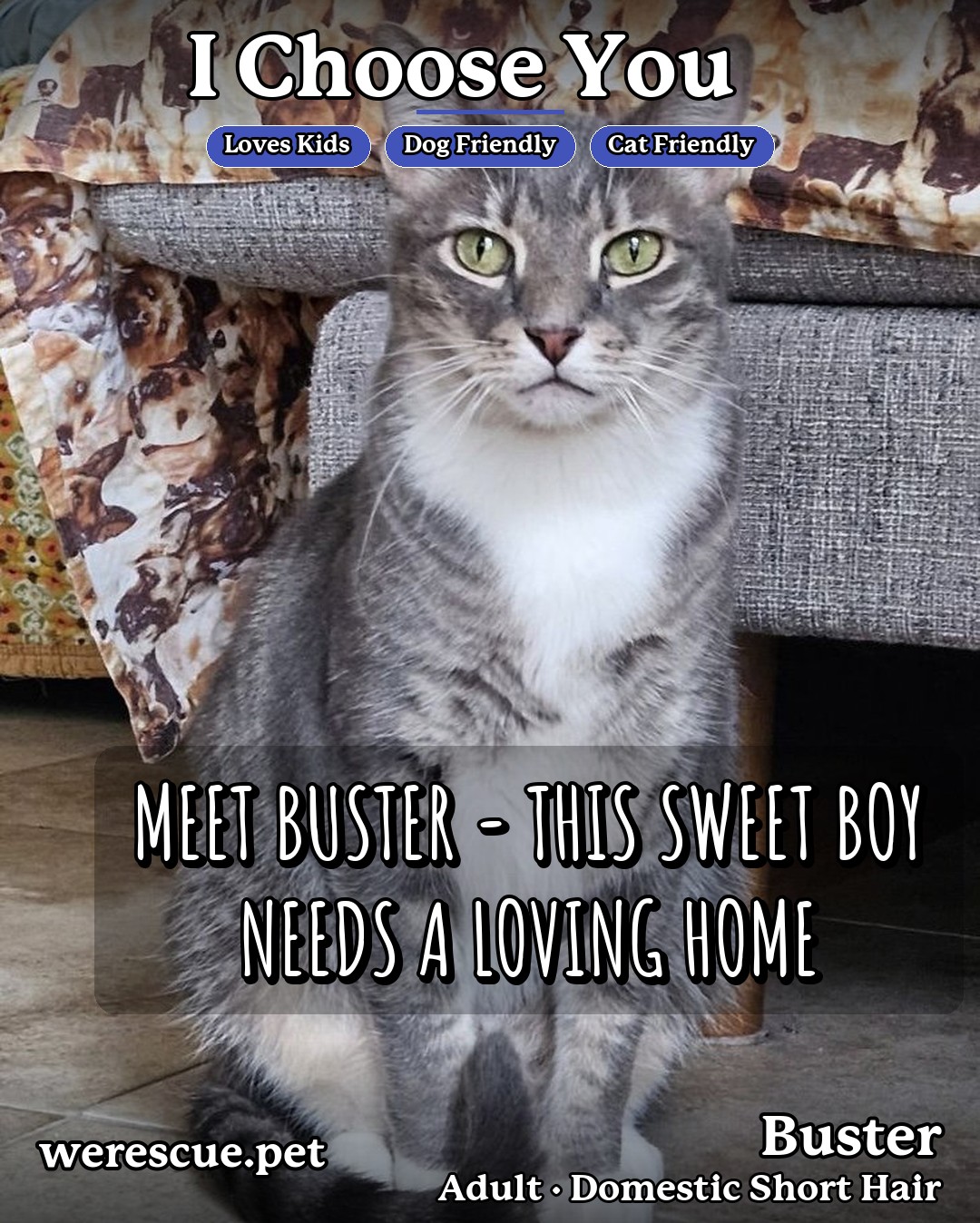 Buster's social media slideshow post