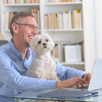 Working Full-Time? How to Successfully Adopt a Rescue Pet