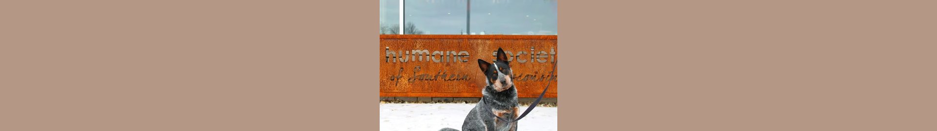 Humane Society of Southern Wisconsin