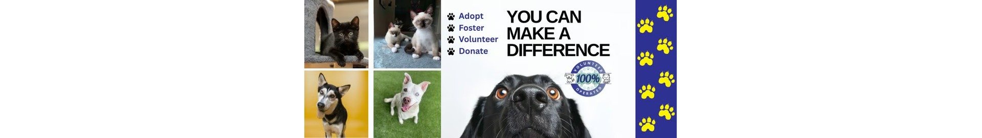 Friends of Rescue Animals