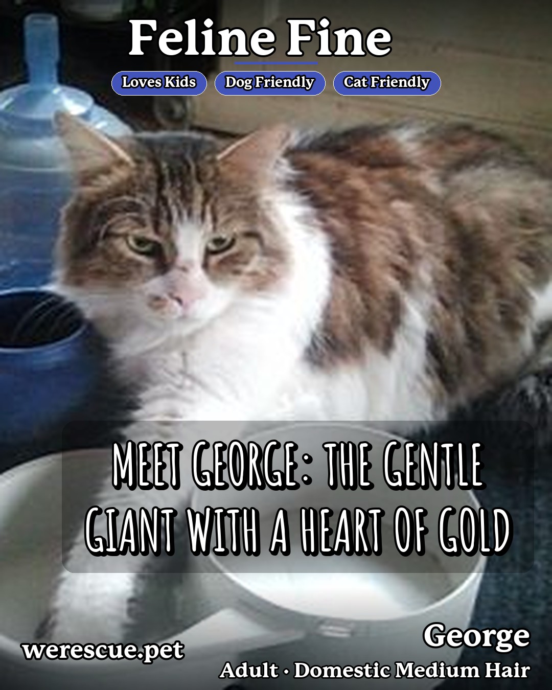 George's social media slideshow post