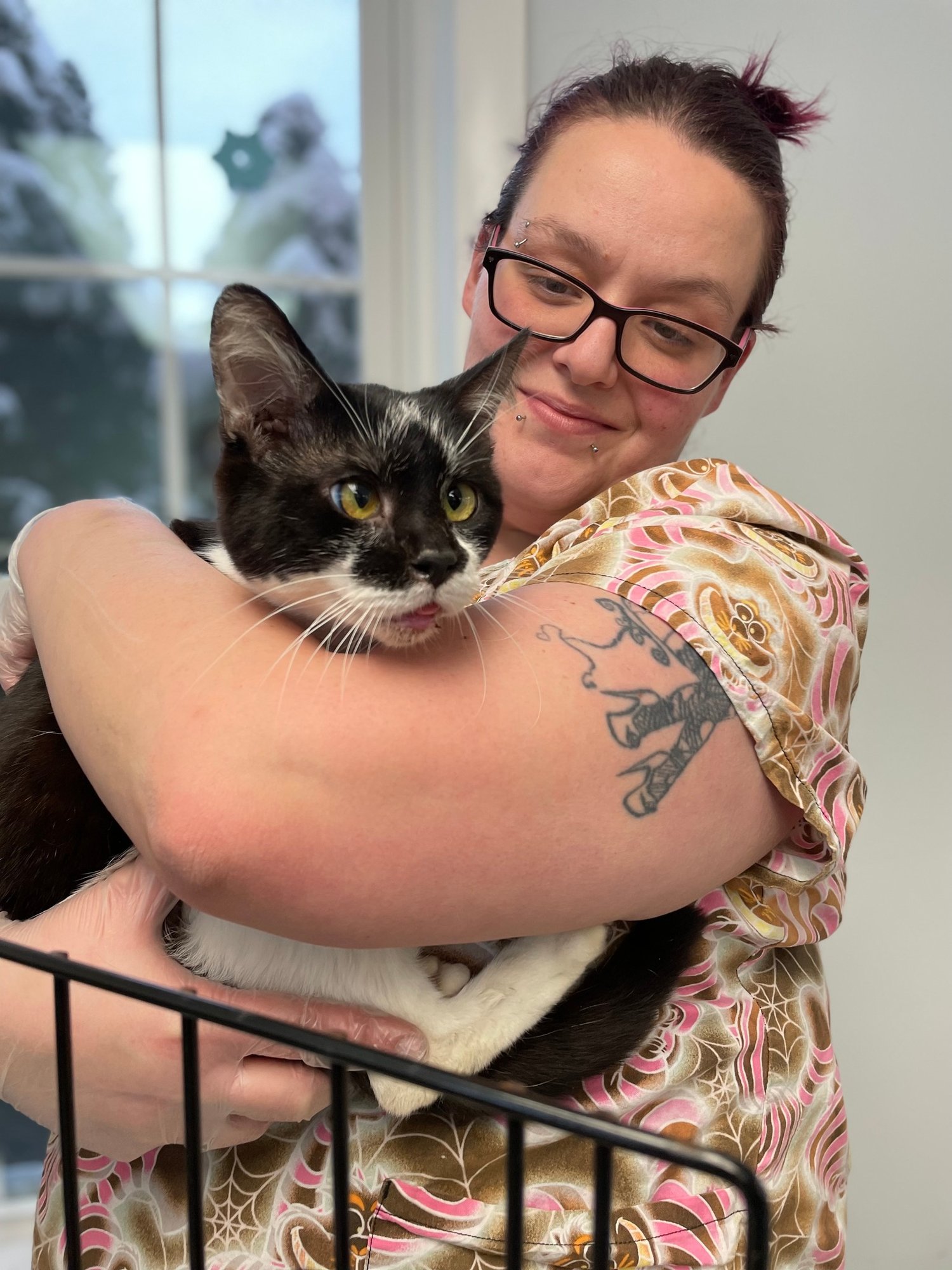 Lowell Humane Society facility