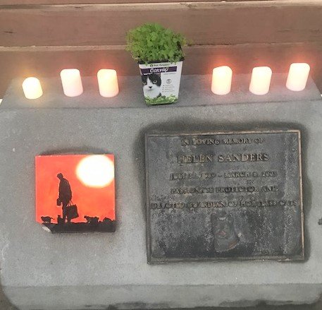 Our legacy - a pioneering cat advocate for humane community cat colony management and spay neuter