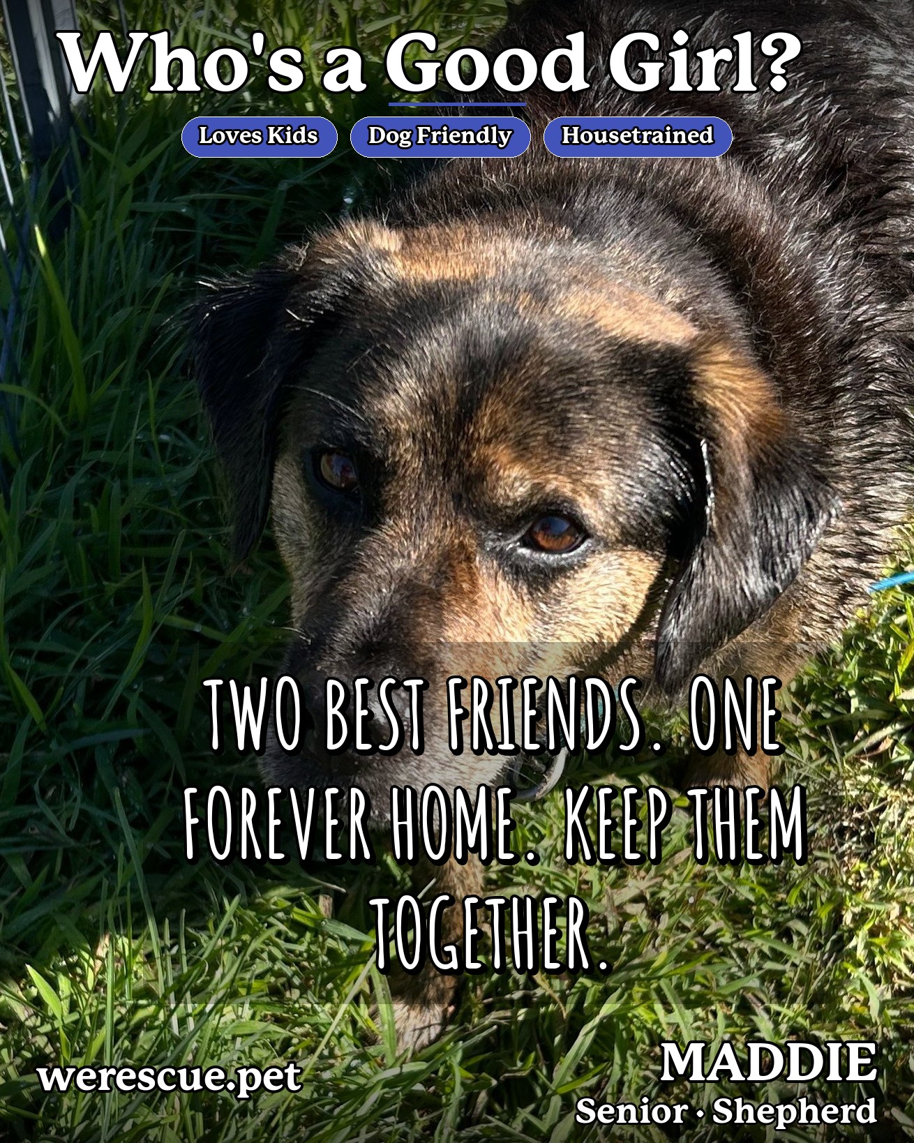 MADDIE's social media slideshow post