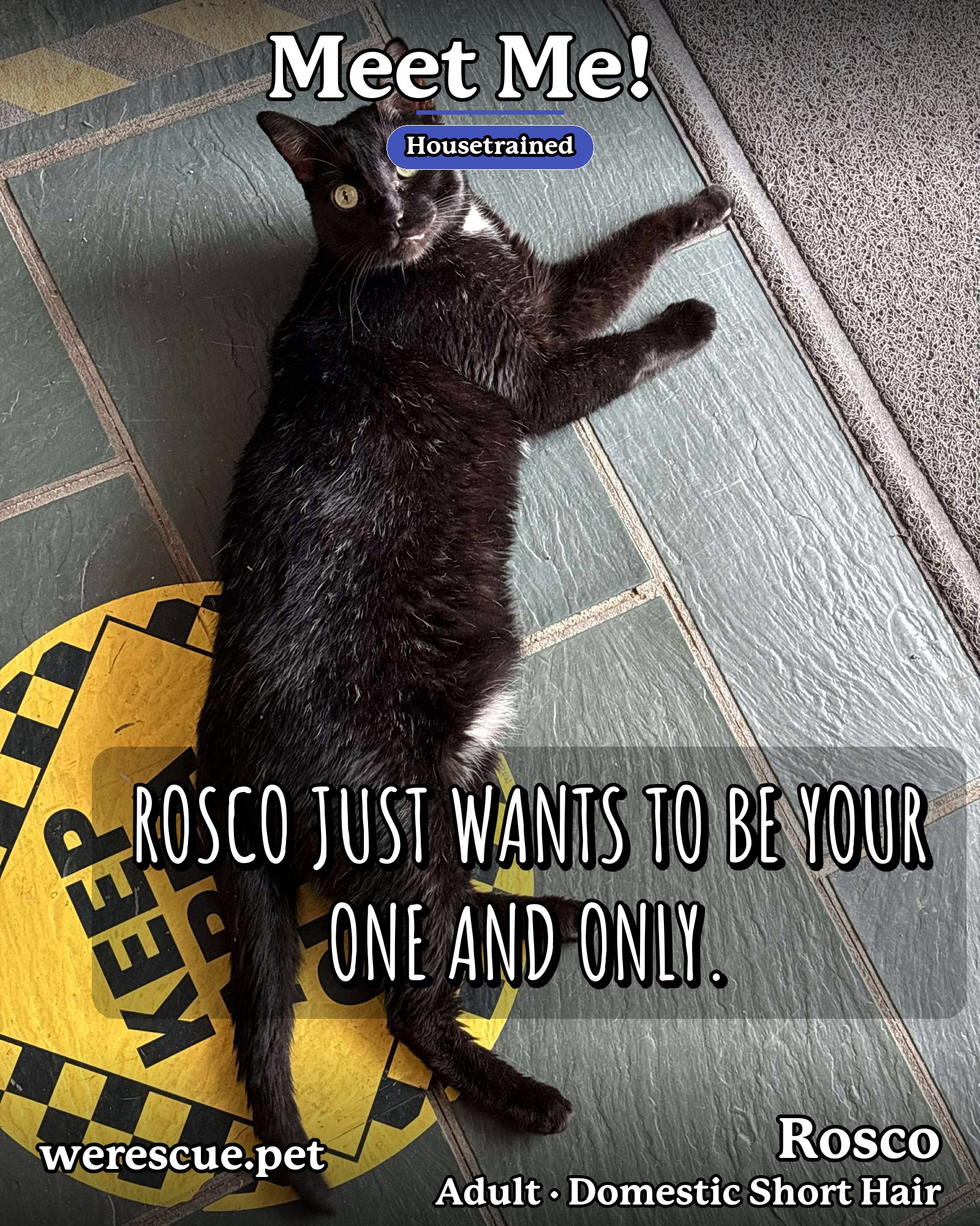 Rosco's social media slideshow post