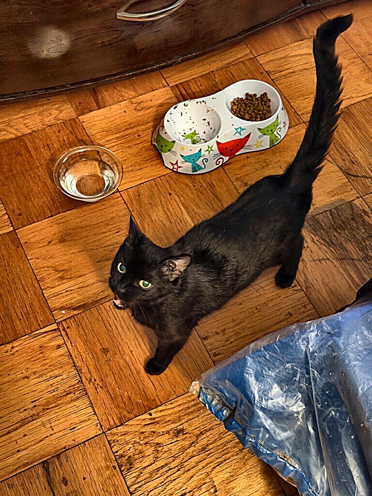 Murray Image
