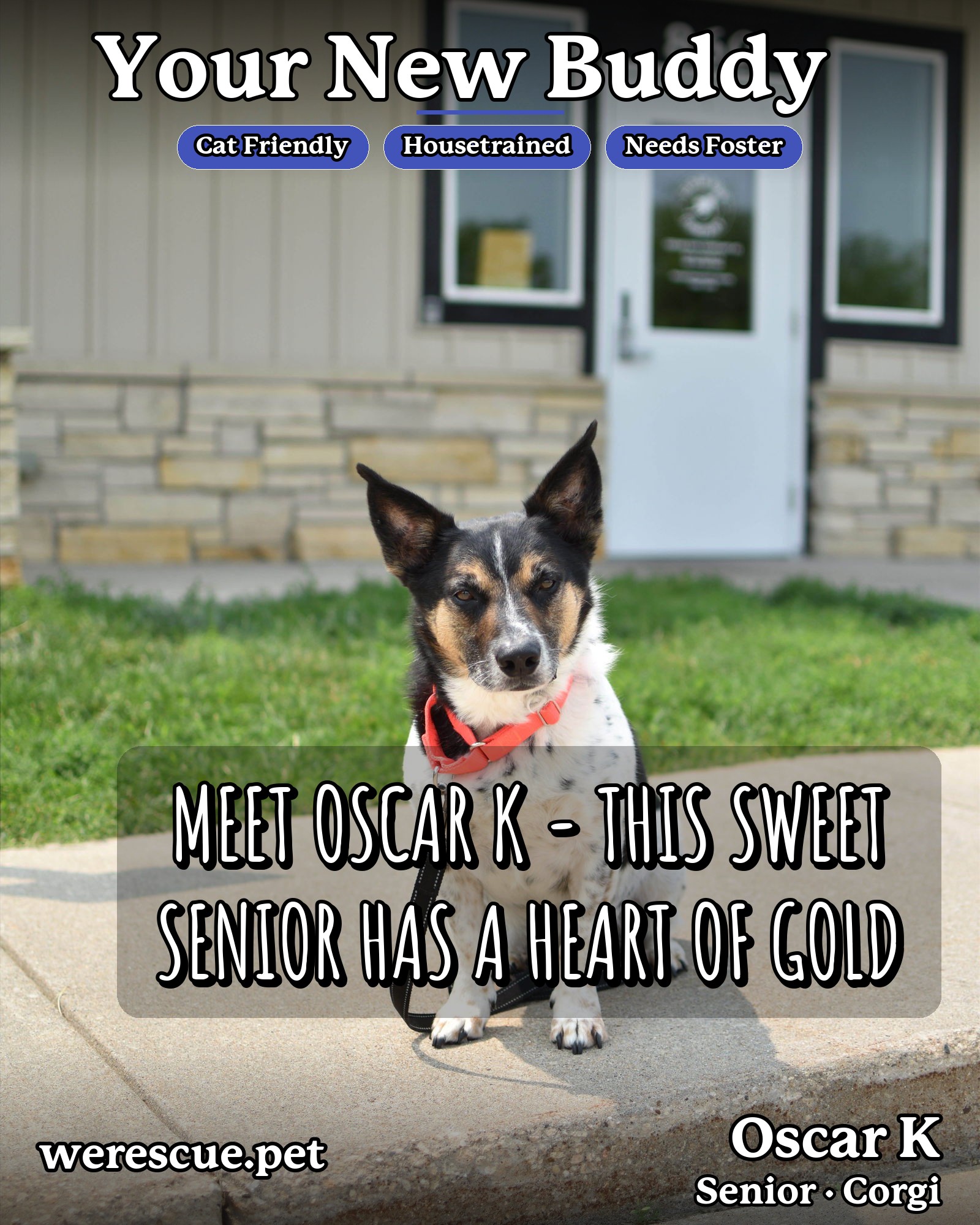 Oscar K's social media photos post