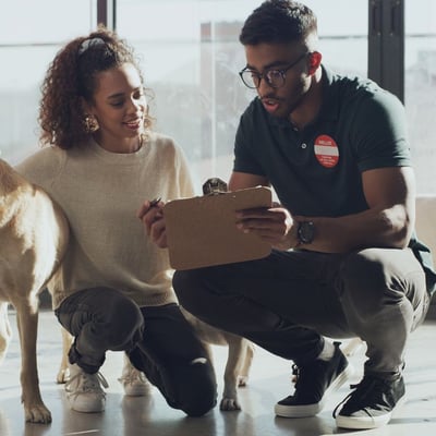 Pet Adoption Timeline: Your Complete Guide from Application to Home image