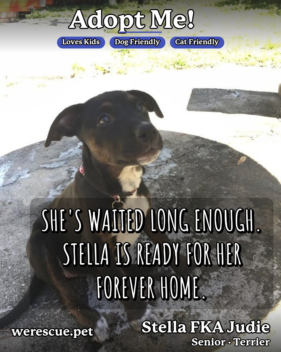 Stella FKA Judie - TRAINING CAMP's social media slideshow post