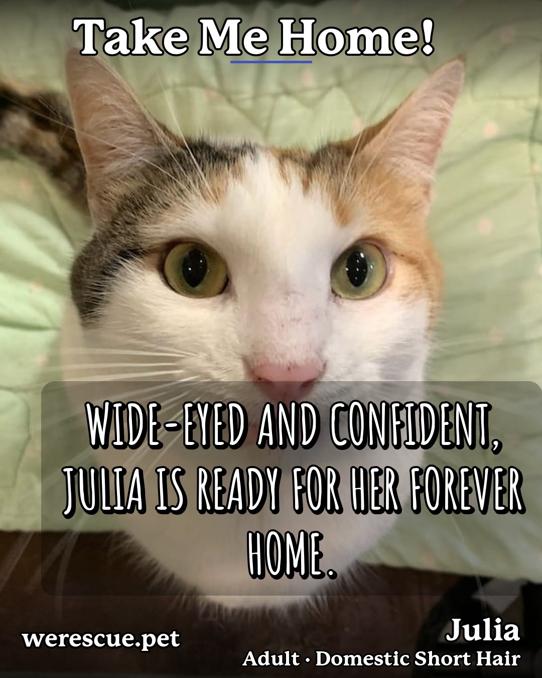 Julia's social media photos post