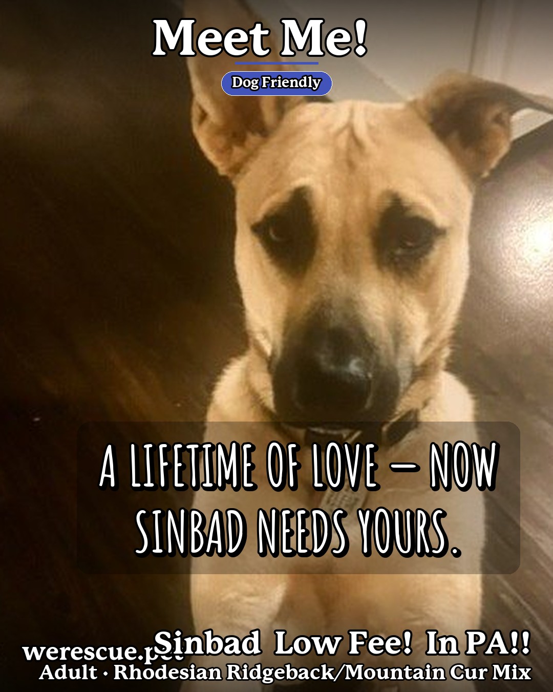 SINBAD Low Fee!  In PA!!'s social media slideshow post