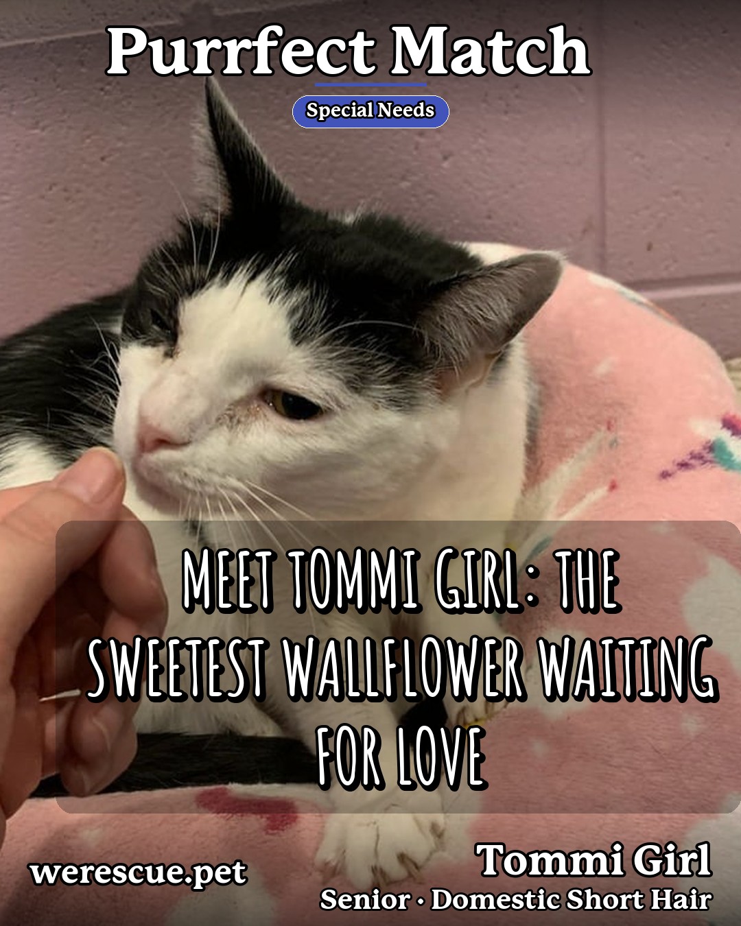Tommi Girl's social media photos post