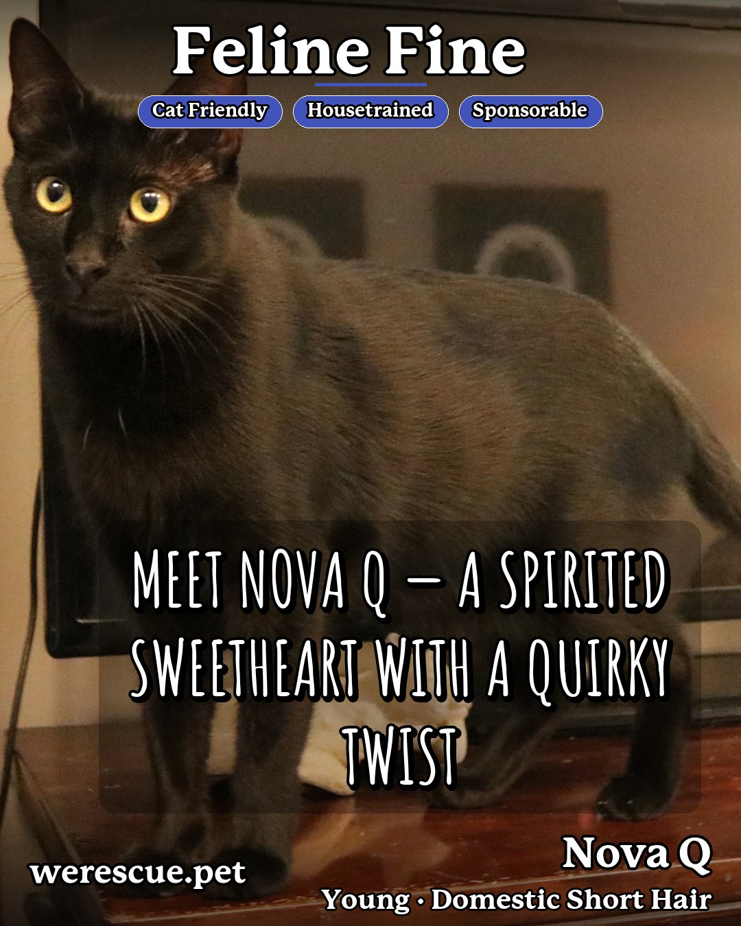 Nova Q's social media photos post