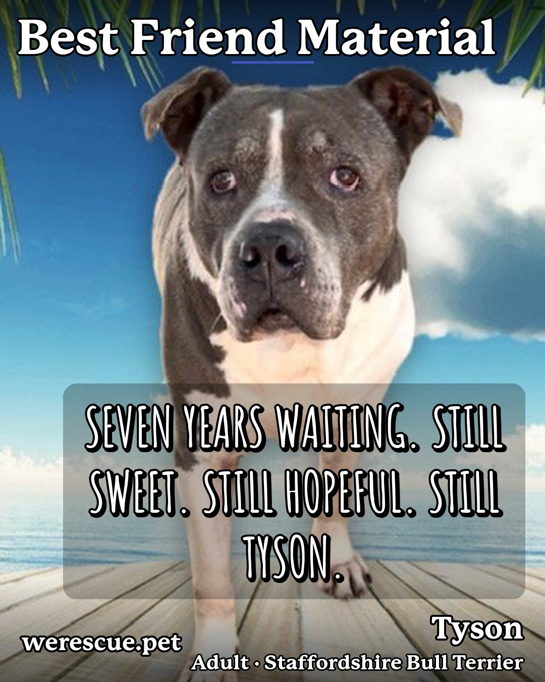 Tyson's social media photos post