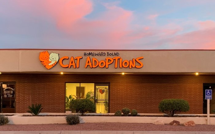 Homeward Bound Cat Adoptions facility