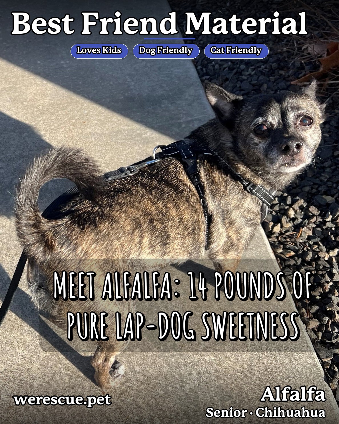Alfalfa's social media slideshow post