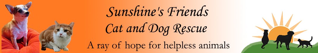 Sunshine's Friends Cat and Dog Rescue