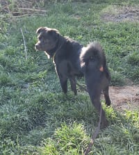 Winston - Photo 7