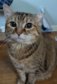 Trix - Photo 1