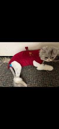 Priscilla - Photo 4