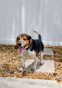 Thelma III - Photo 4